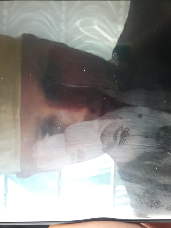 Тамара привлекательная девушка из Аткарска цена от 2500 руб